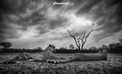 Meet the Travel-Bug-Bitten Photographer Shannon Wild