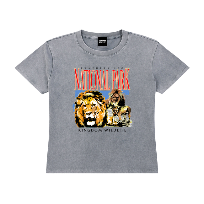 Kingdom National Park Women's Vintage Wash Drop Shoulder T-shirt