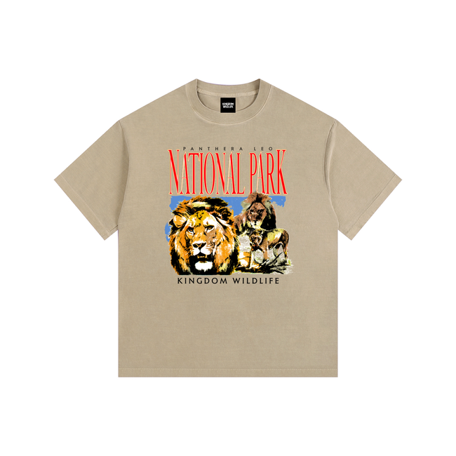 Kingdom National Park Vintage Washed Oversized Cotton T-Shirt