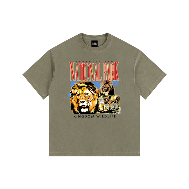 Kingdom National Park Vintage Washed Oversized Cotton T-Shirt