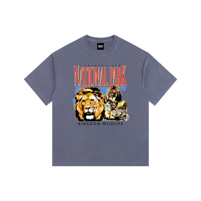 Kingdom National Park Vintage Washed Oversized Cotton T-Shirt