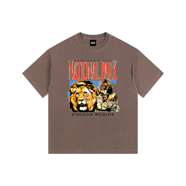 Kingdom National Park Vintage Washed Oversized Cotton T-Shirt
